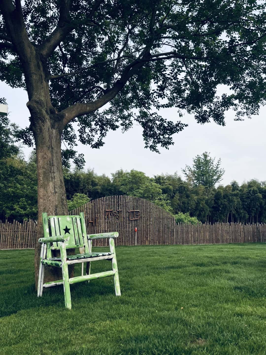 微信图片_20250604094415